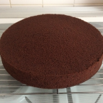 Large Chocolate Madeira Cake